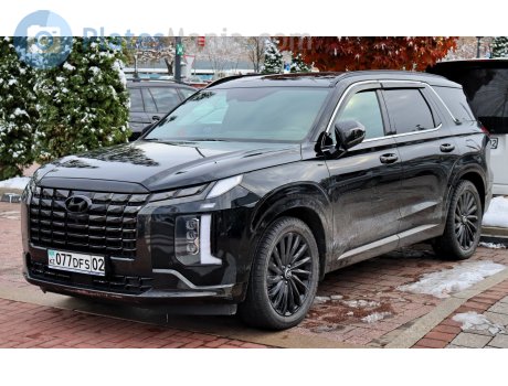 077 DFS 02, Hyundai Palisade