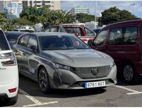 8761 NGT, Peugeot 308