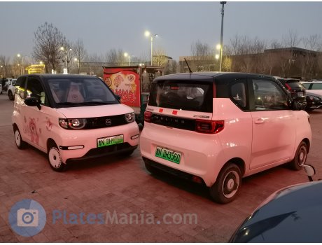 鲁N·DH3560, Wuling Hongguang MINI EV