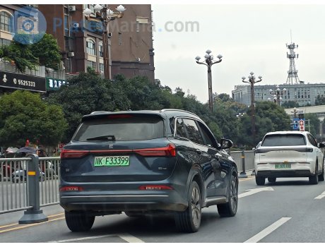 川K·F33399, Fengon (Fengguang) Landian E5