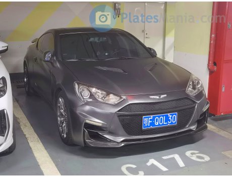 鄂F·Q0L30, Hyundai Rohens Coupe