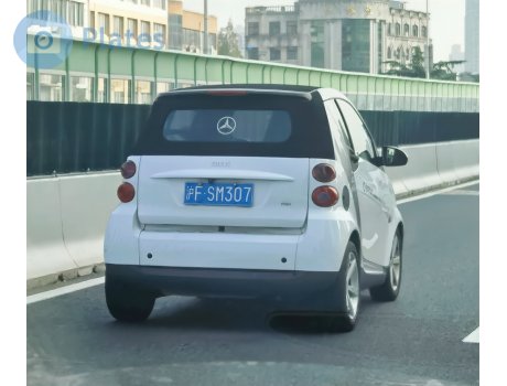 沪F·SM307, Smart ForTwo