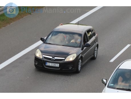 RZ 558ES, Opel Signum