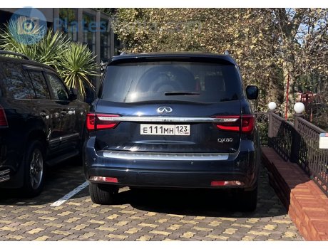 е111мн123, Infiniti QX80/QX56