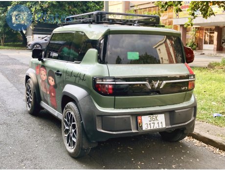 36K-317.11, VinFast VF3