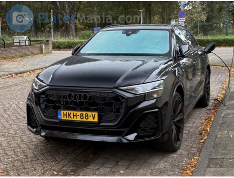 HKH-88-V, Audi Q8