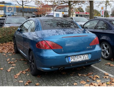 PB FM 313, Peugeot 307