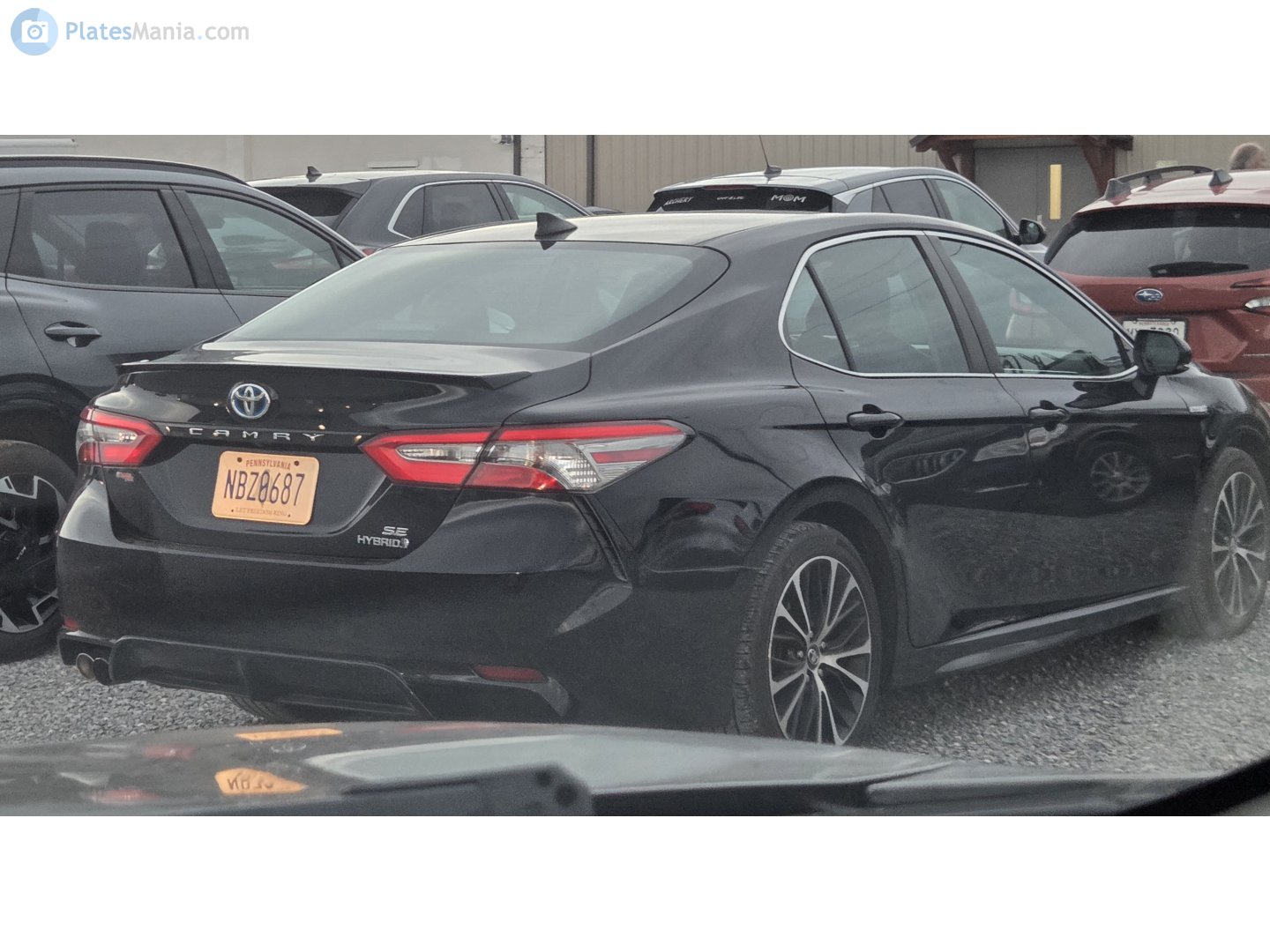 NBZ0687, Toyota Camry 8th gen (XV70), 2017–