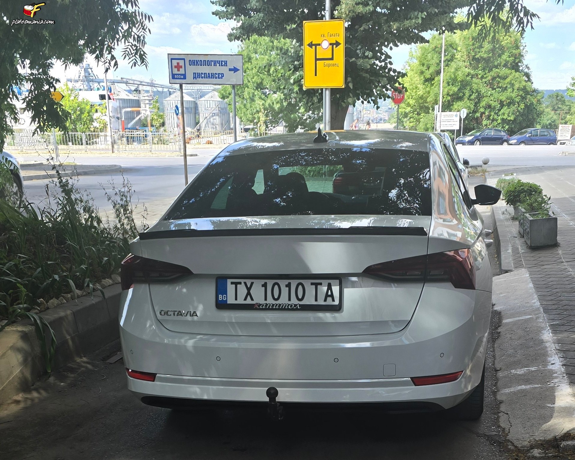 TX 1010 TA, Skoda Octavia 4th gen Liftback (NX3), 2019–2024