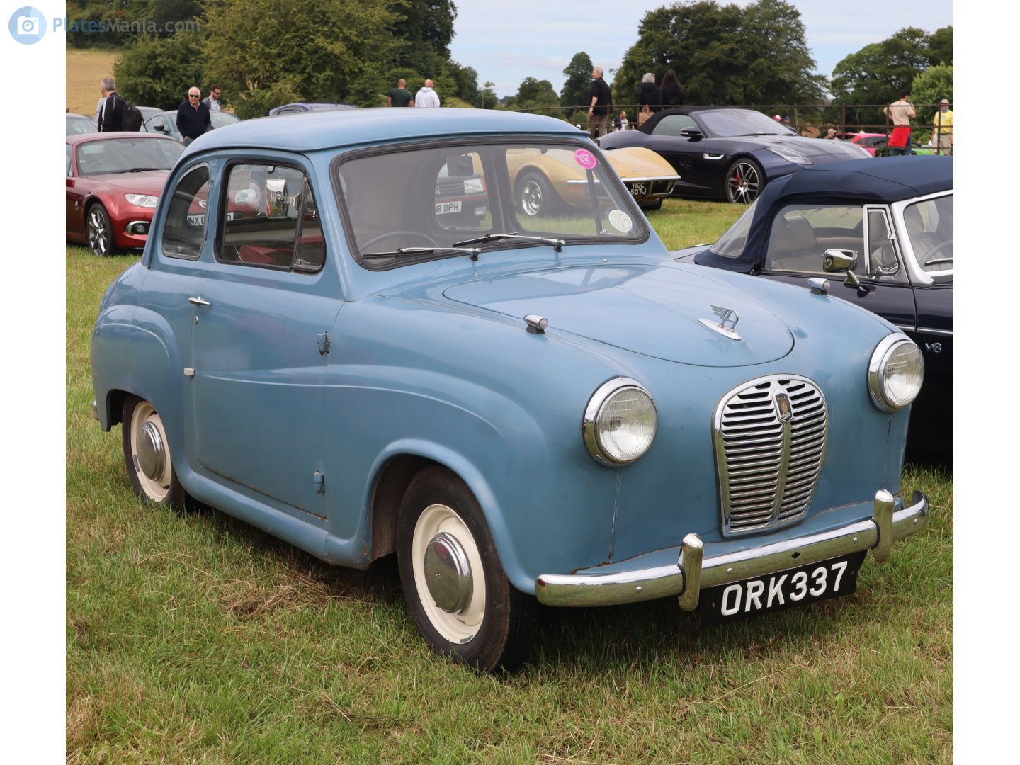 ORK337, Austin A30 