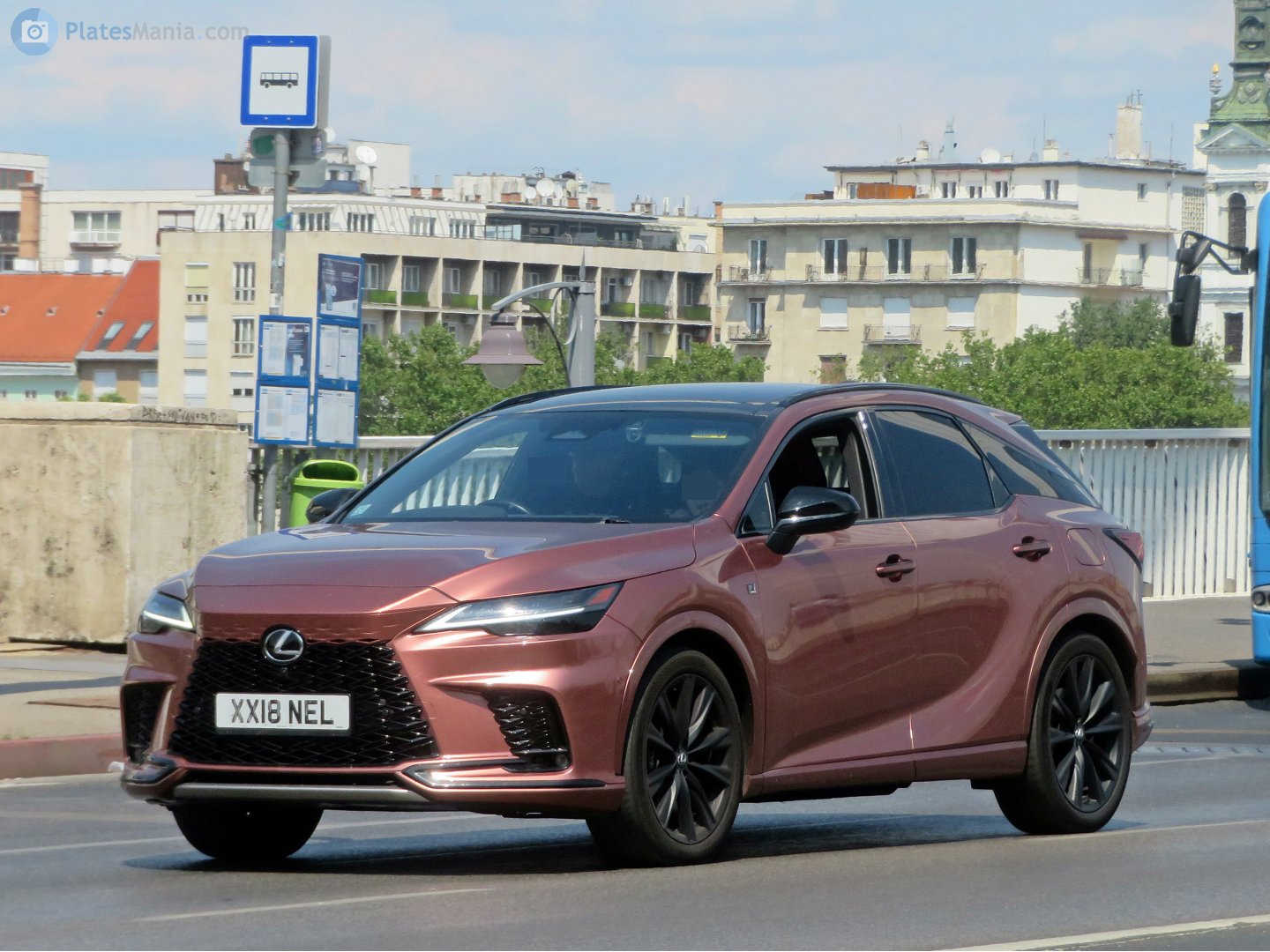 XX18NEL, Lexus RX 5th gen (AL30), 2022–