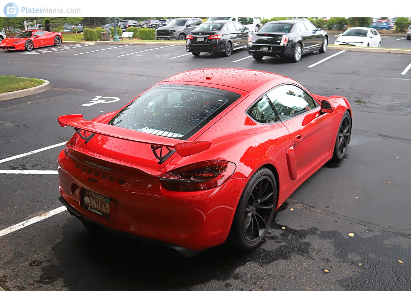 OMGT 4, Porsche Cayman 2nd gen (981C), 2013–2018