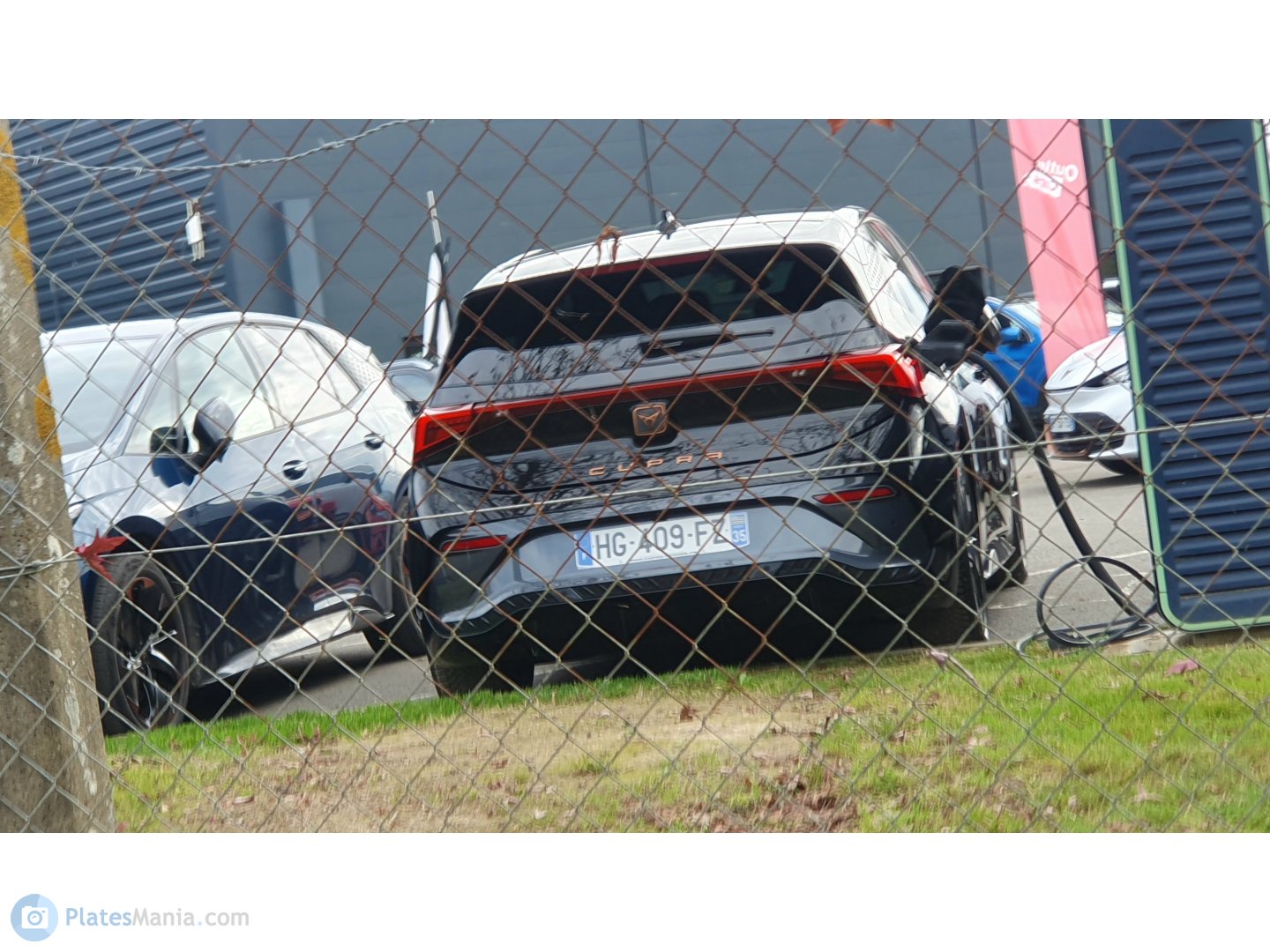 HG-409-FZ, Cupra Born 1st gen (K1), 2021–