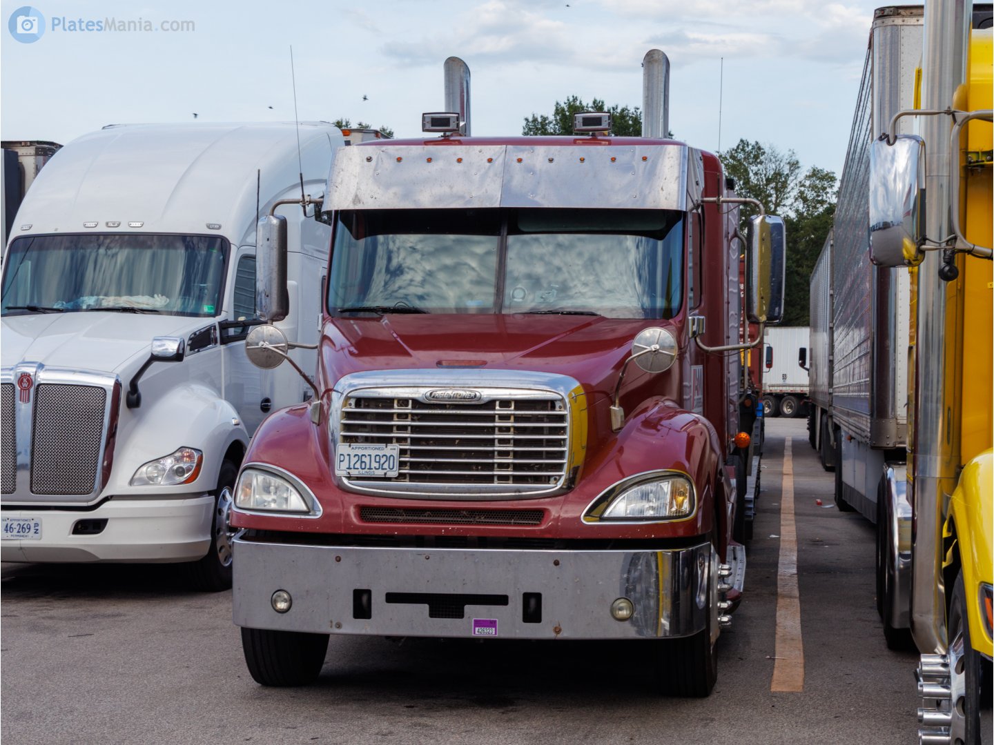 P1261920, Freightliner Columbia 