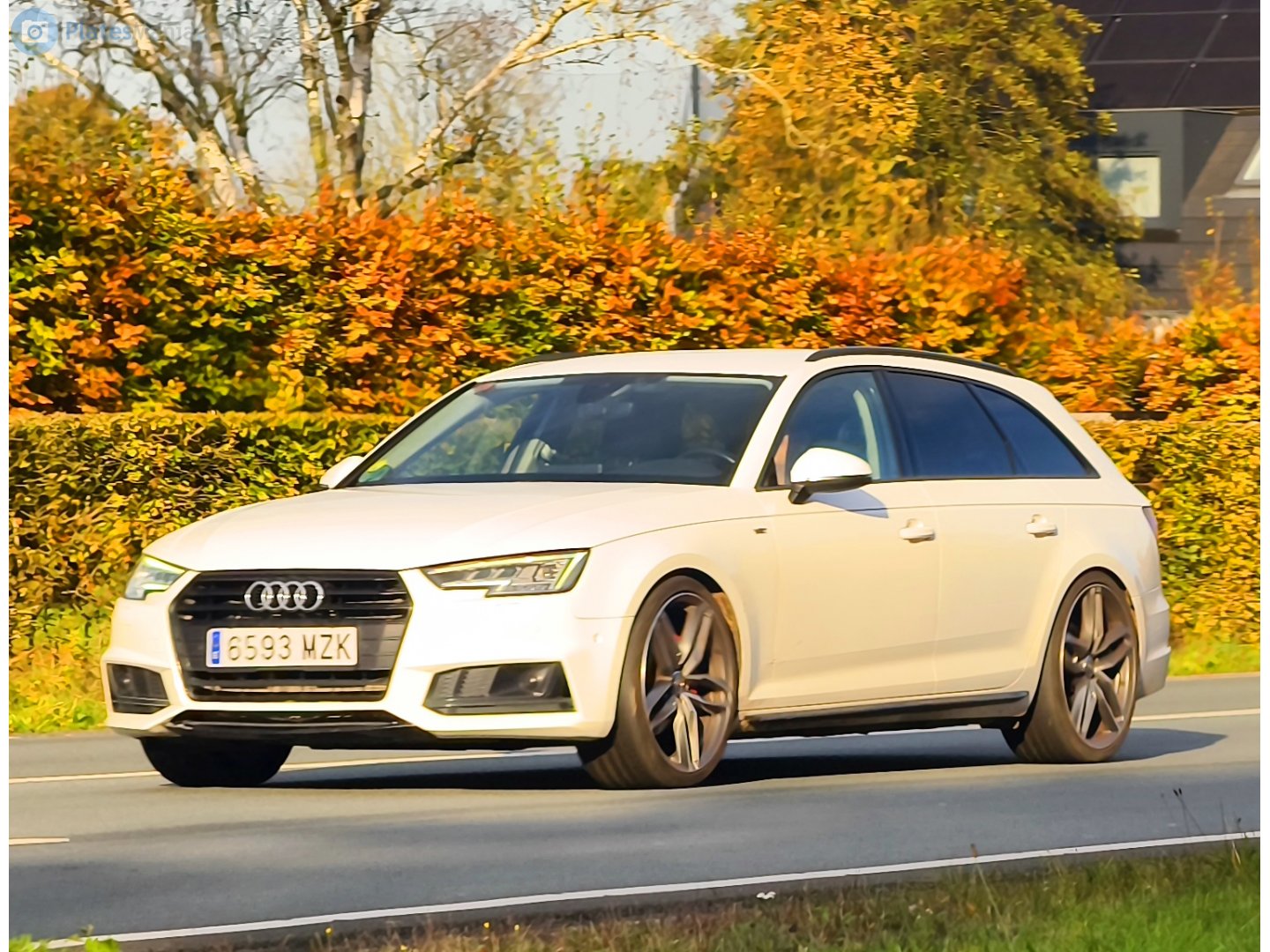 6593 MZK, Audi A4 5th gen Avant (B9/8W5/8WD), 2015–2019