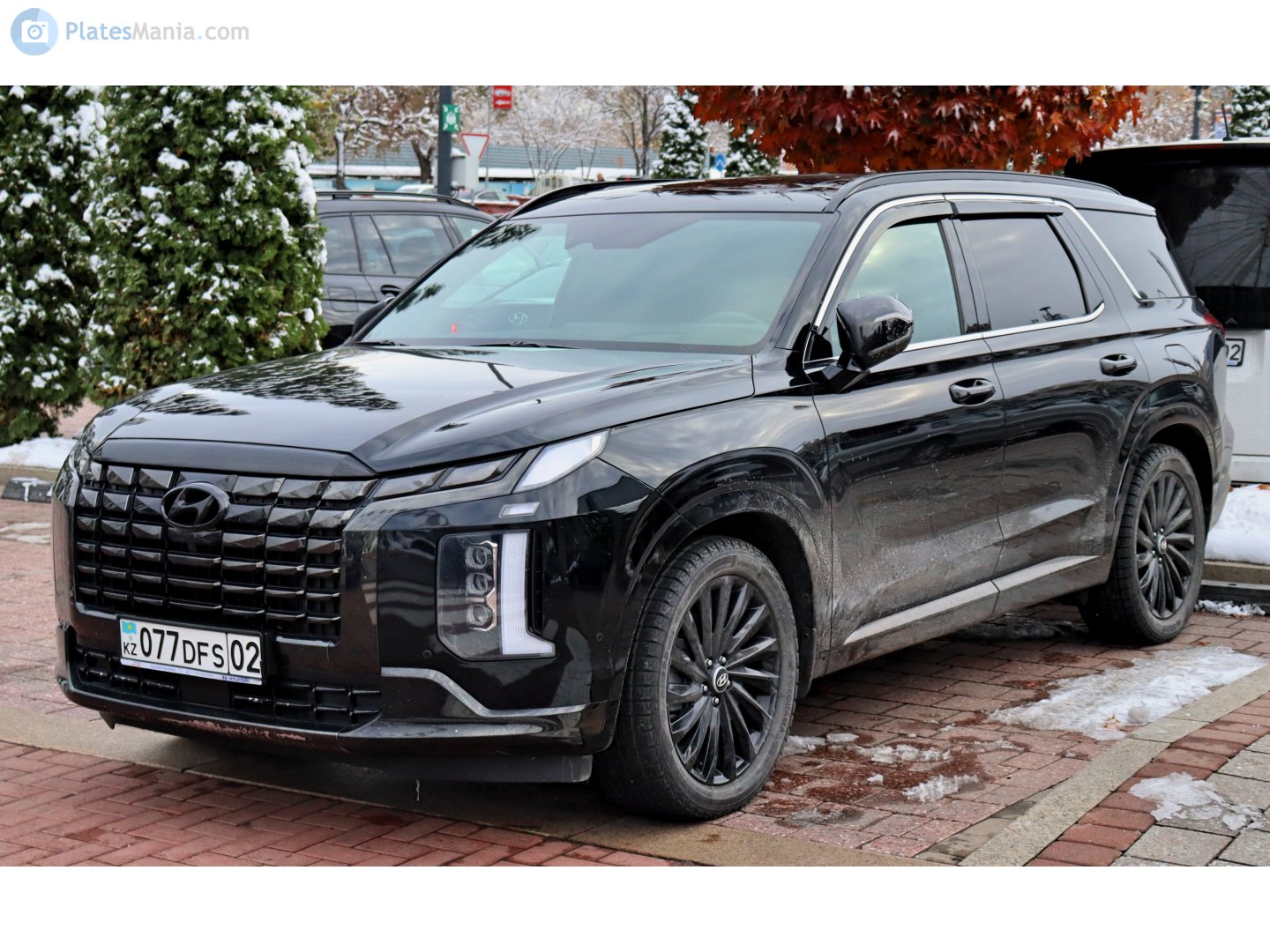 077 DFS 02, Hyundai Palisade 1st gen (LX2), facelift, 2022–