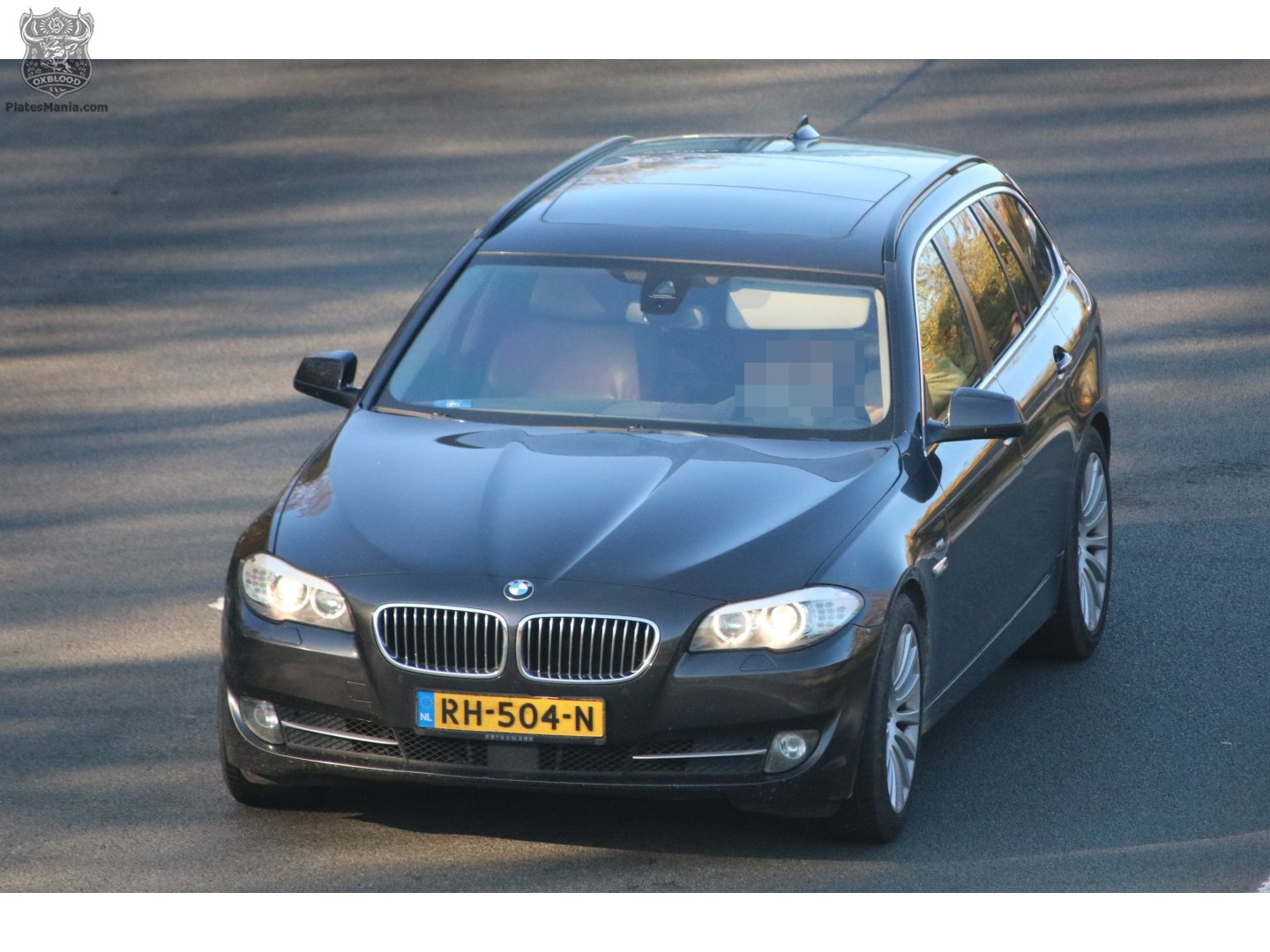 RH-504-N, BMW 5 Series 6th gen Touring (F11), 2010–2017