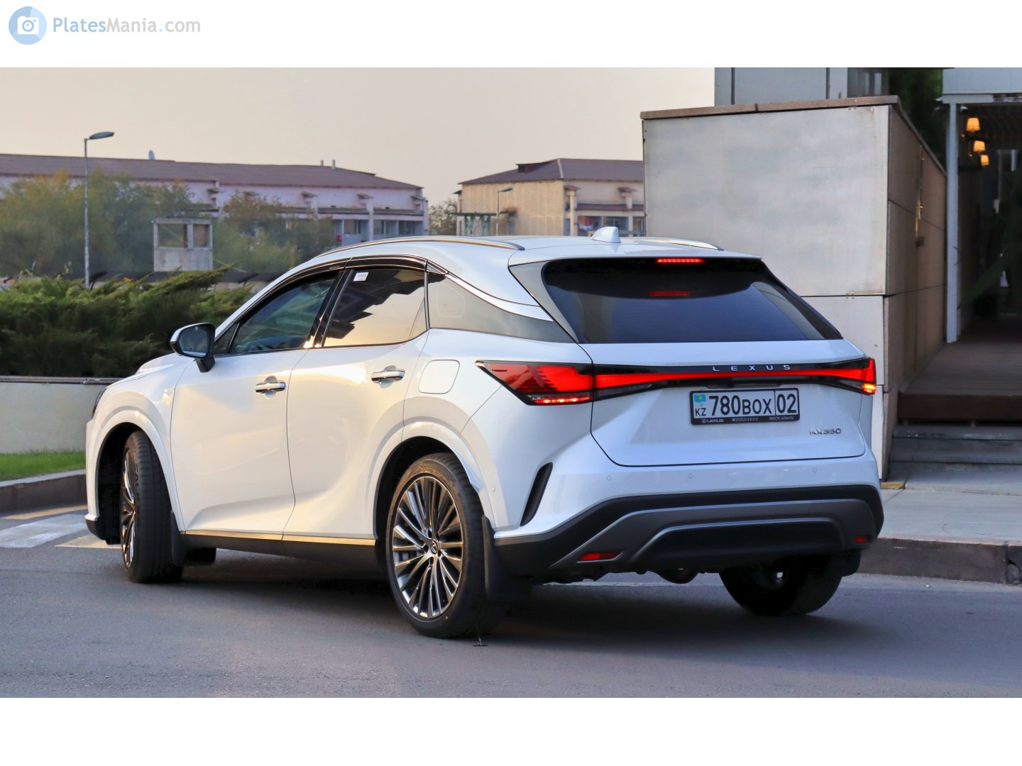 780 BOX 02, Lexus RX 5th gen (AL30), 2022–