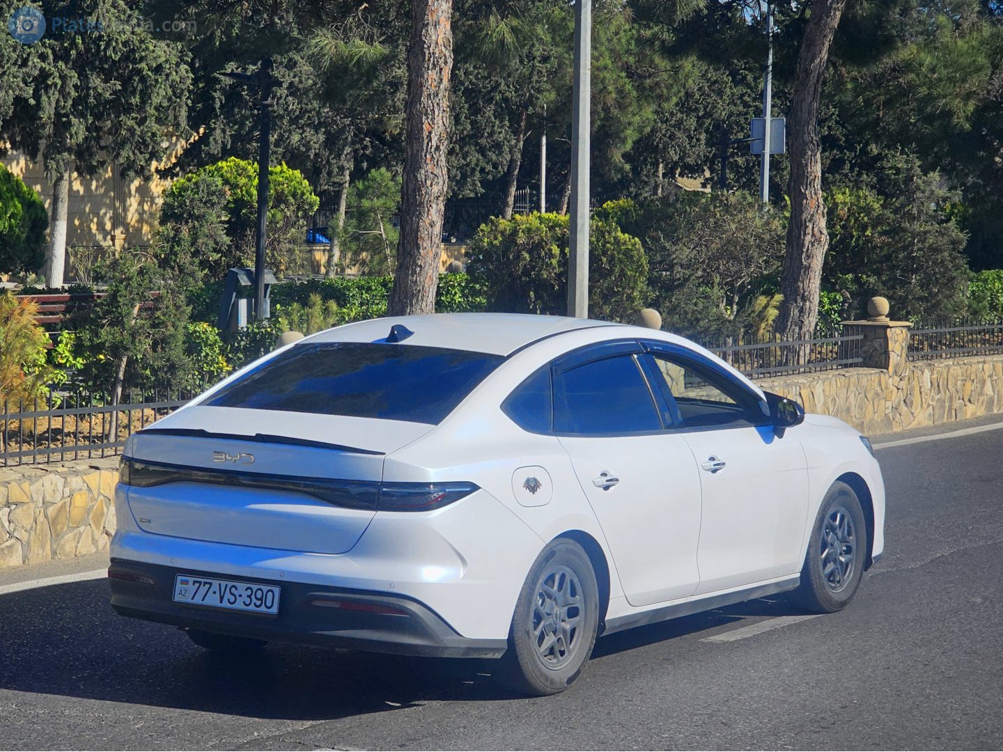 77 VS 390, BYD Seal / Haibao 