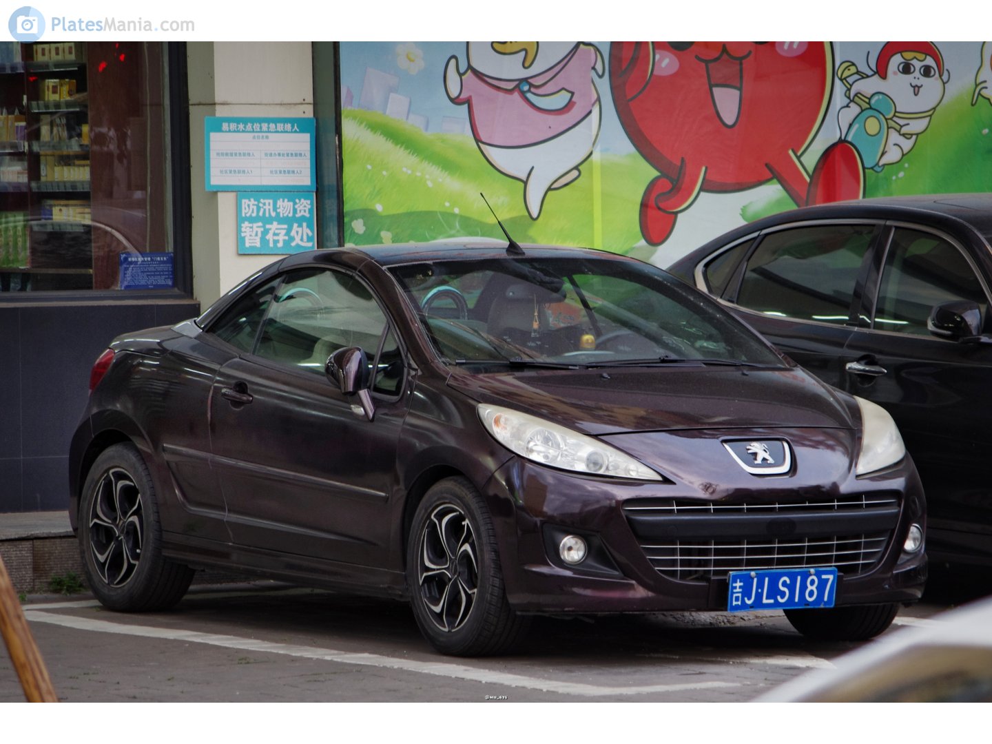 吉J·LS187, Peugeot 207 CC Cabriolet (A76), 2007–2015