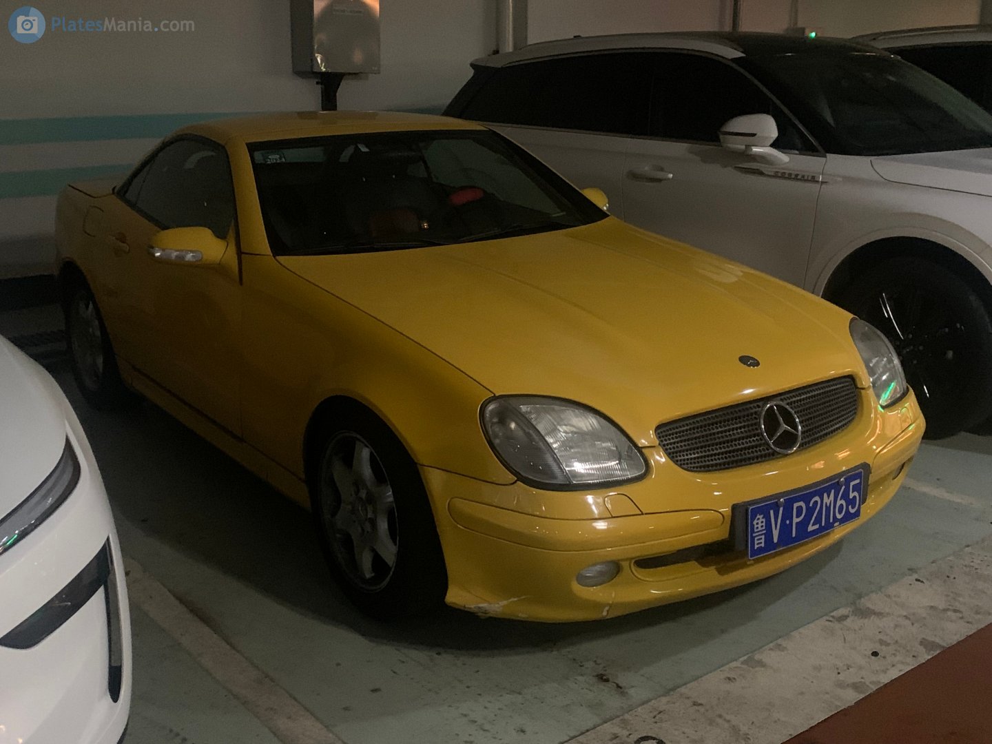 鲁V·P2M65, Mercedes-Benz SLK-Klasse 1st gen (R170), 1996–2004