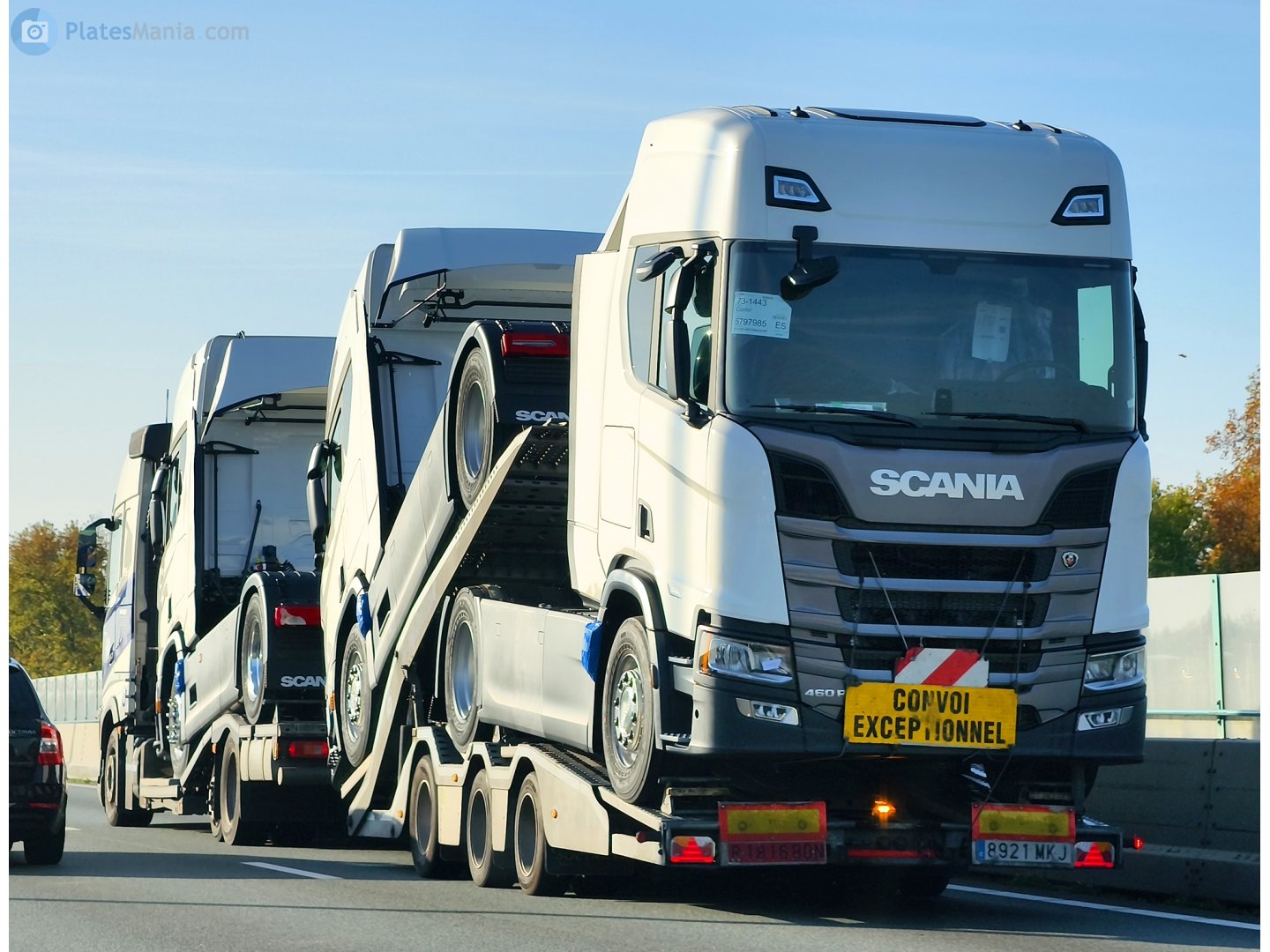 R 1816 BDN, Specialty plates 