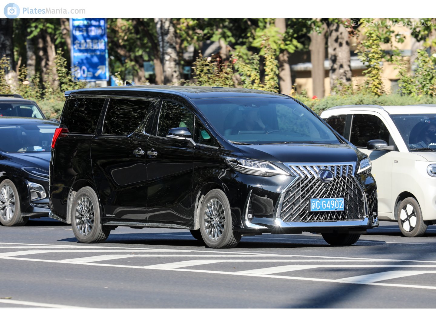 京C·G4902, Lexus LM 1st gen (H30; Pacific-market), 2019–2023