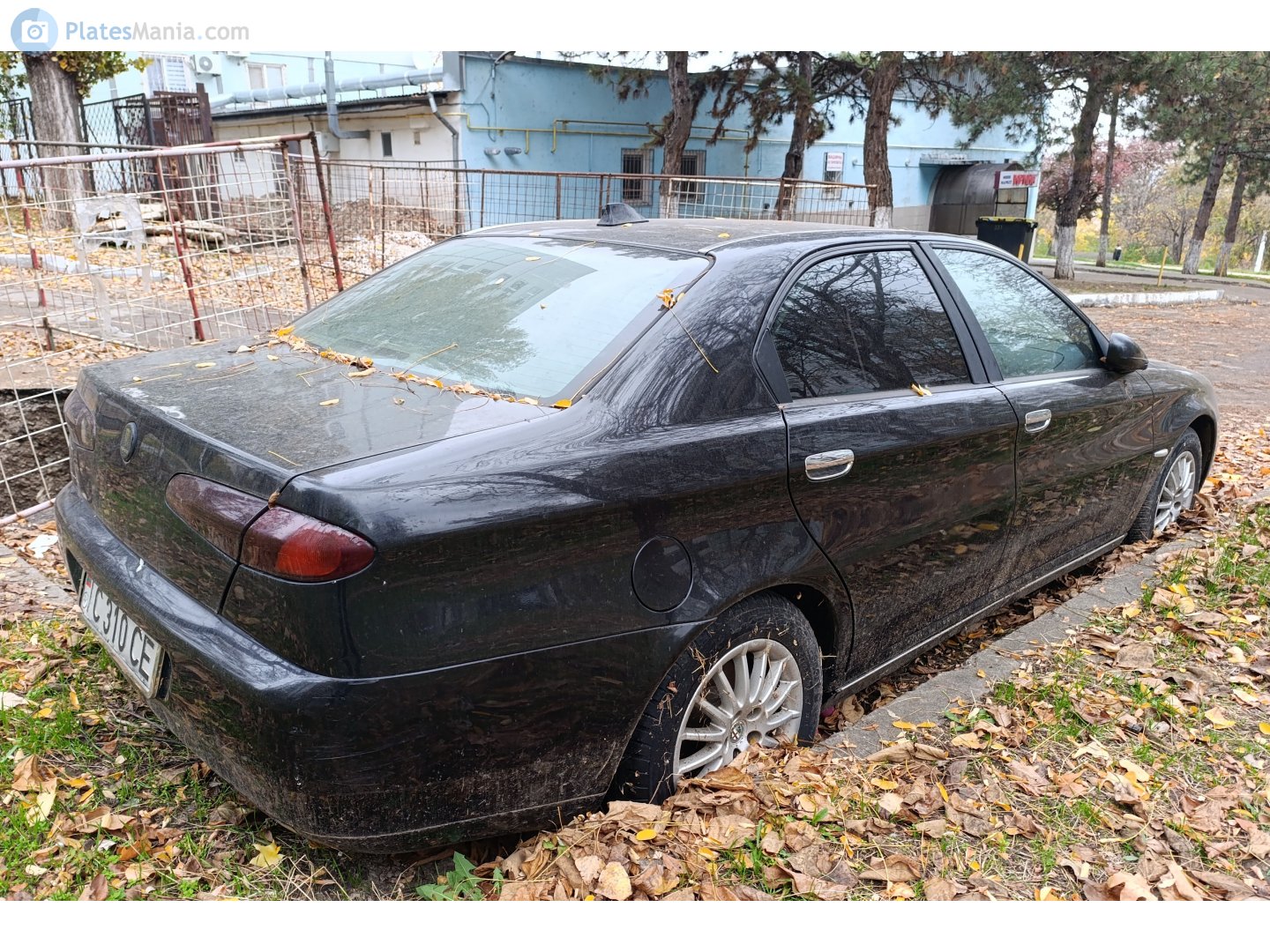 C 310 CE, Alfa Romeo 166 1st gen (936), facelift, 2003–2007