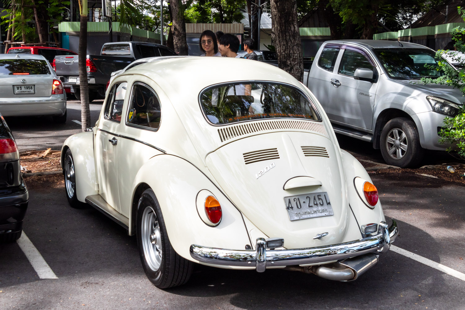 4ข-2451, Volkswagen Beetle 1st gen Cabrio (Type 1), 1948­–2003