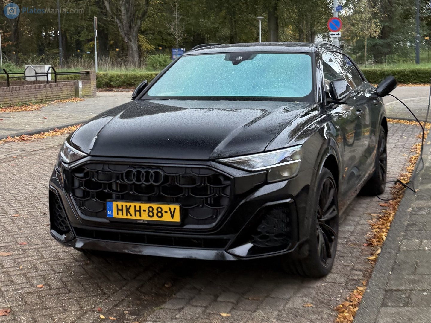 HKH-88-V, Audi Q8 1st gen (4MN), facelift, 2023–