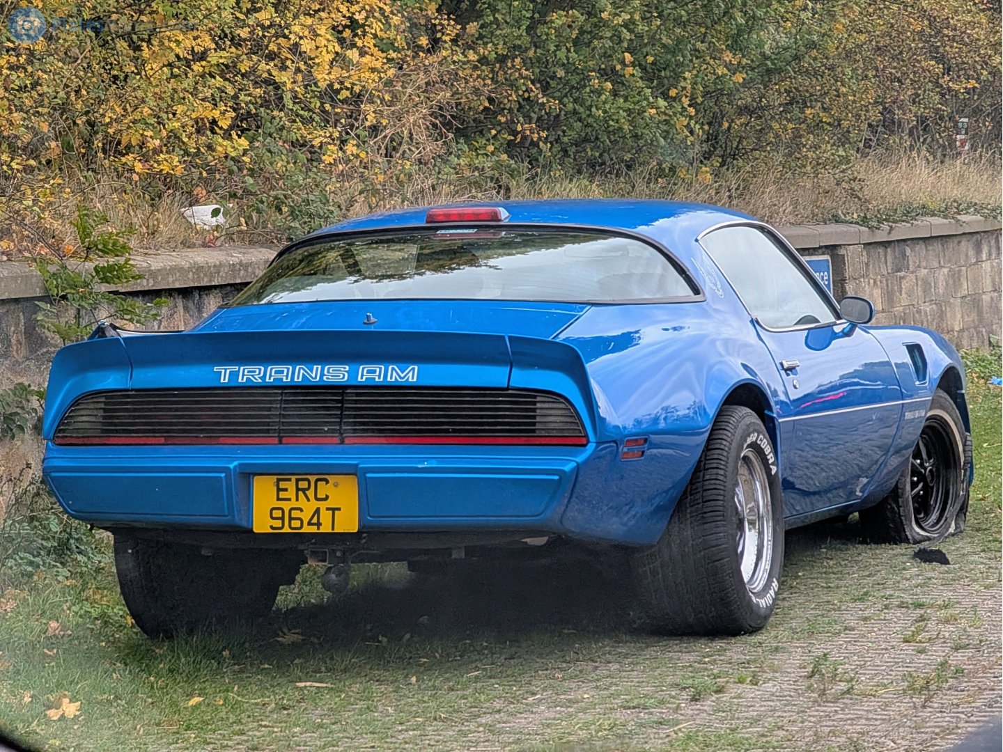 ERC964T, Pontiac Firebird 2nd gen Coupé (87; F-body), 3rd facelift, 1978–1981