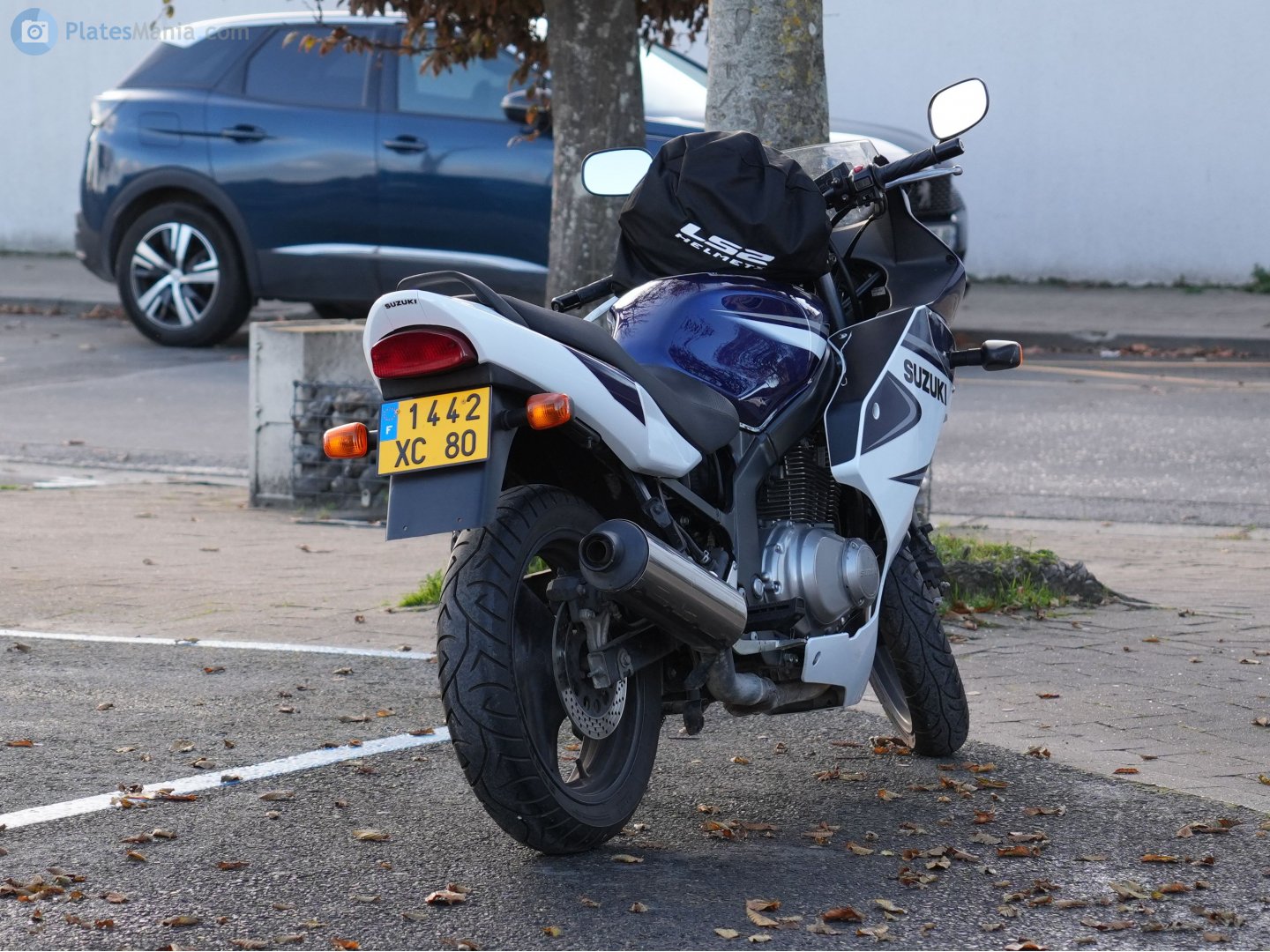 1442 XC 80, Suzuki GS Series 