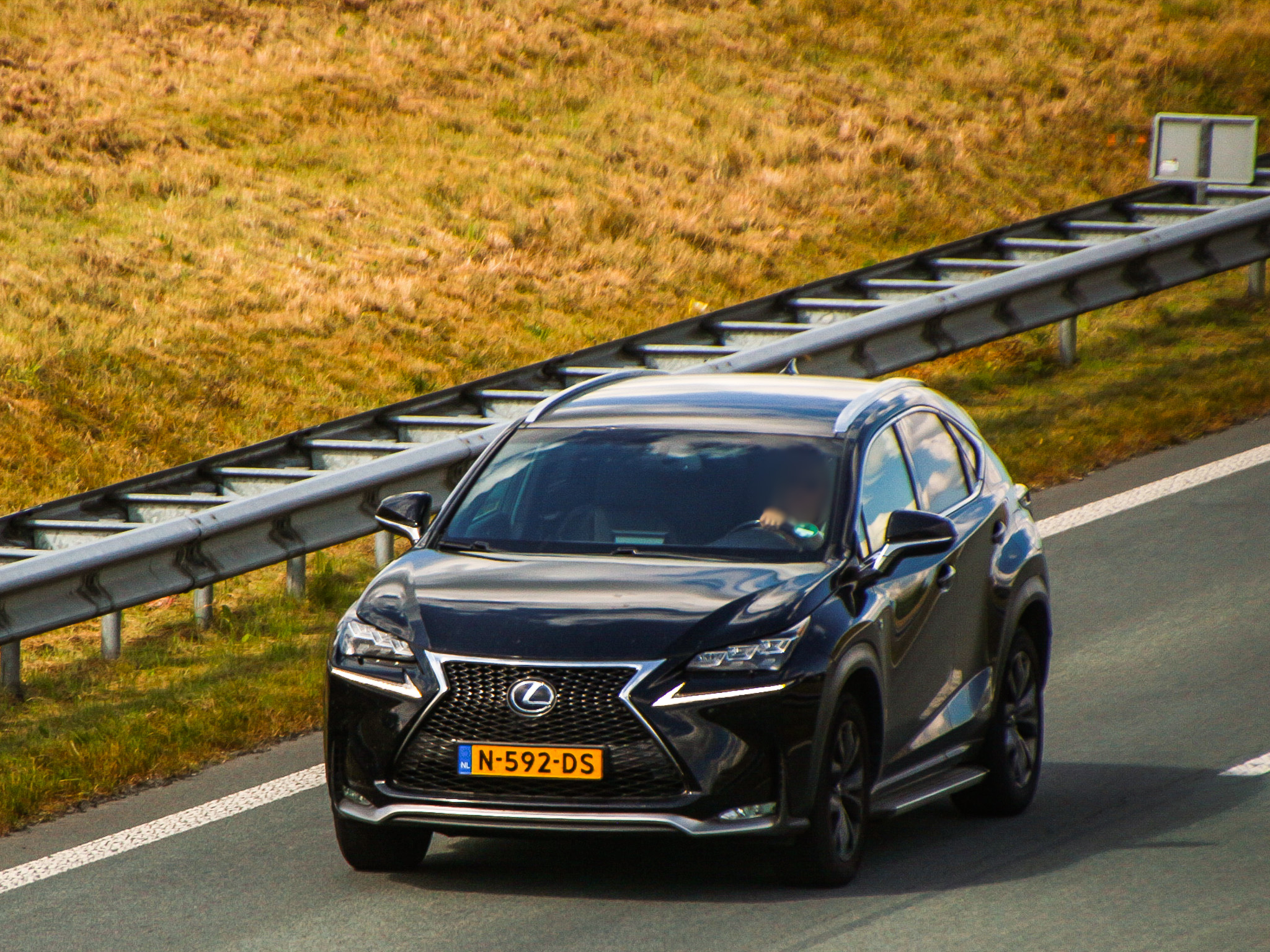 N-592-DS, Lexus NX 1st gen (AZ10), 2014–2017