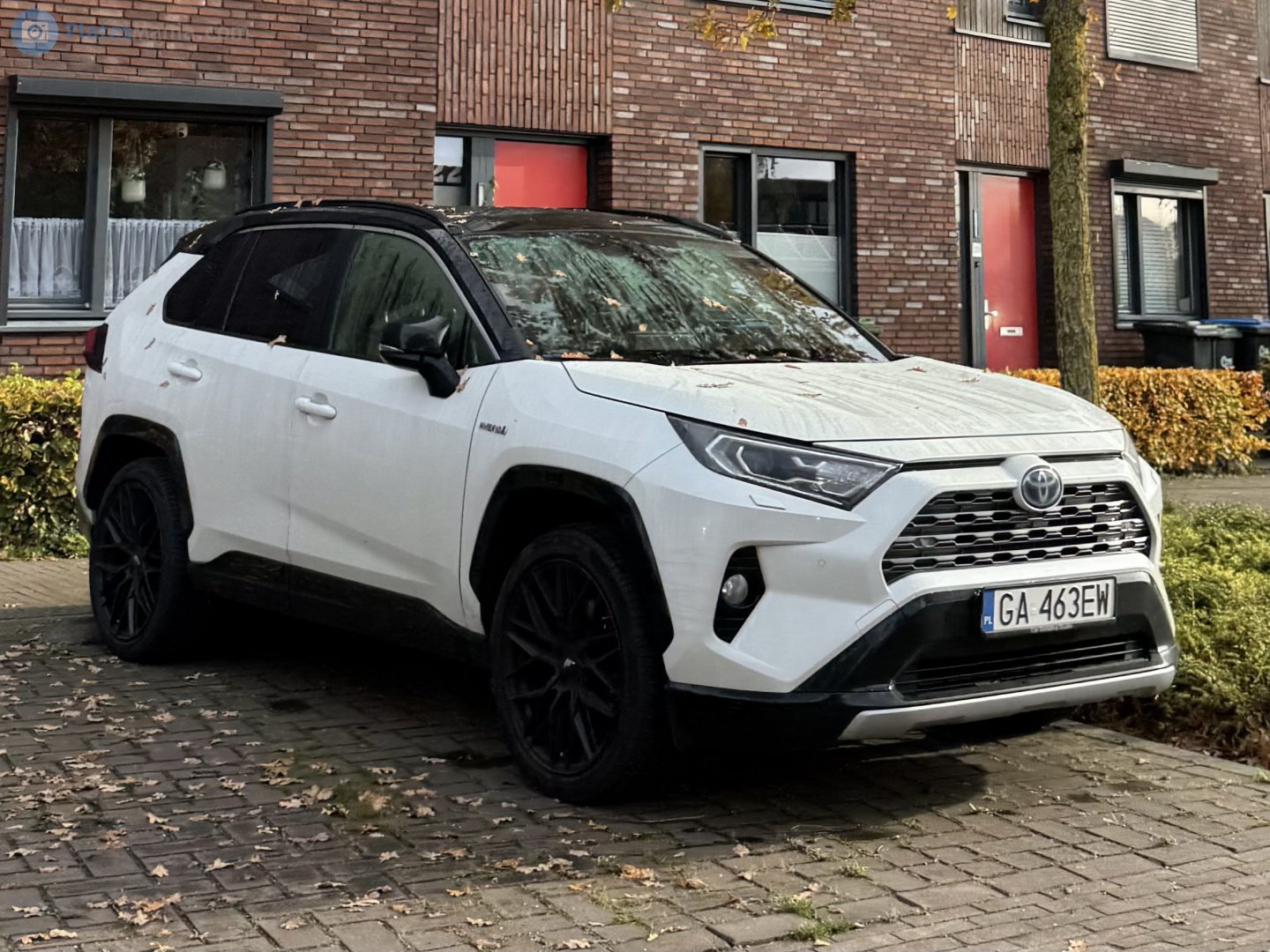 GA 463EW, Toyota RAV4 5th gen (XA50), 2018–