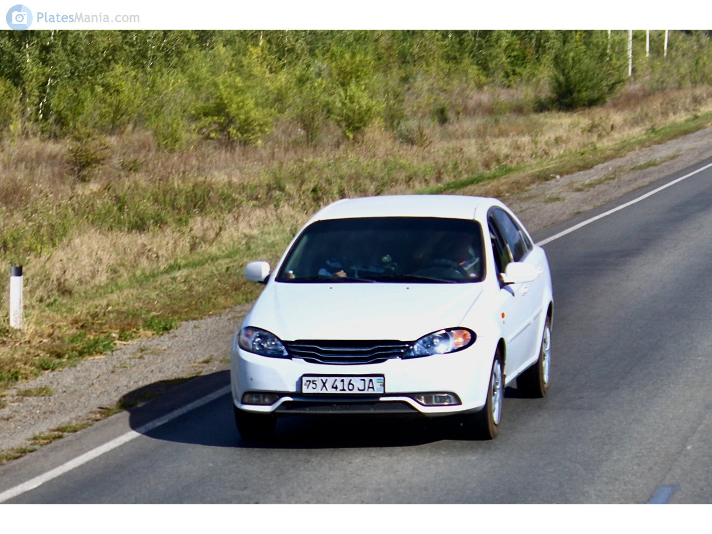 75 X 416 JA, Daewoo Gentra 2nd gen (J200; CIS-market), 2013–2015