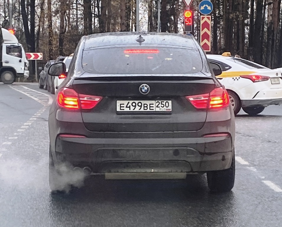 е 499 ве 250, BMW X4 1st gen (F26), 2014–2018