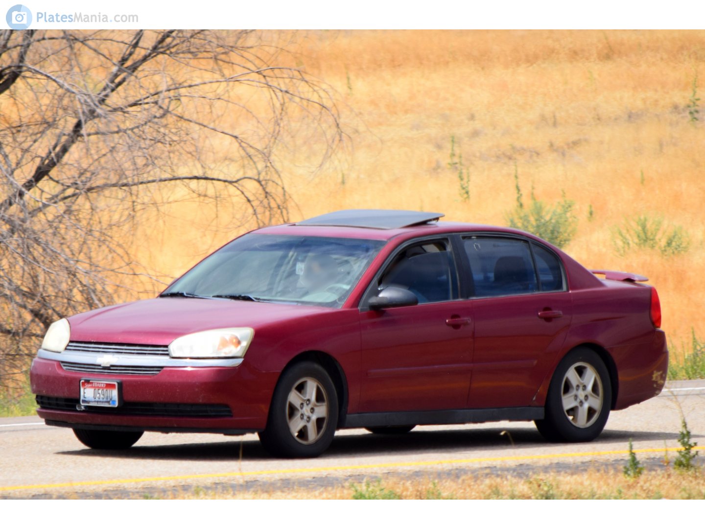 E 0590U, Chevrolet Malibu 3rd gen Sedan (GMX380), 2003–2008