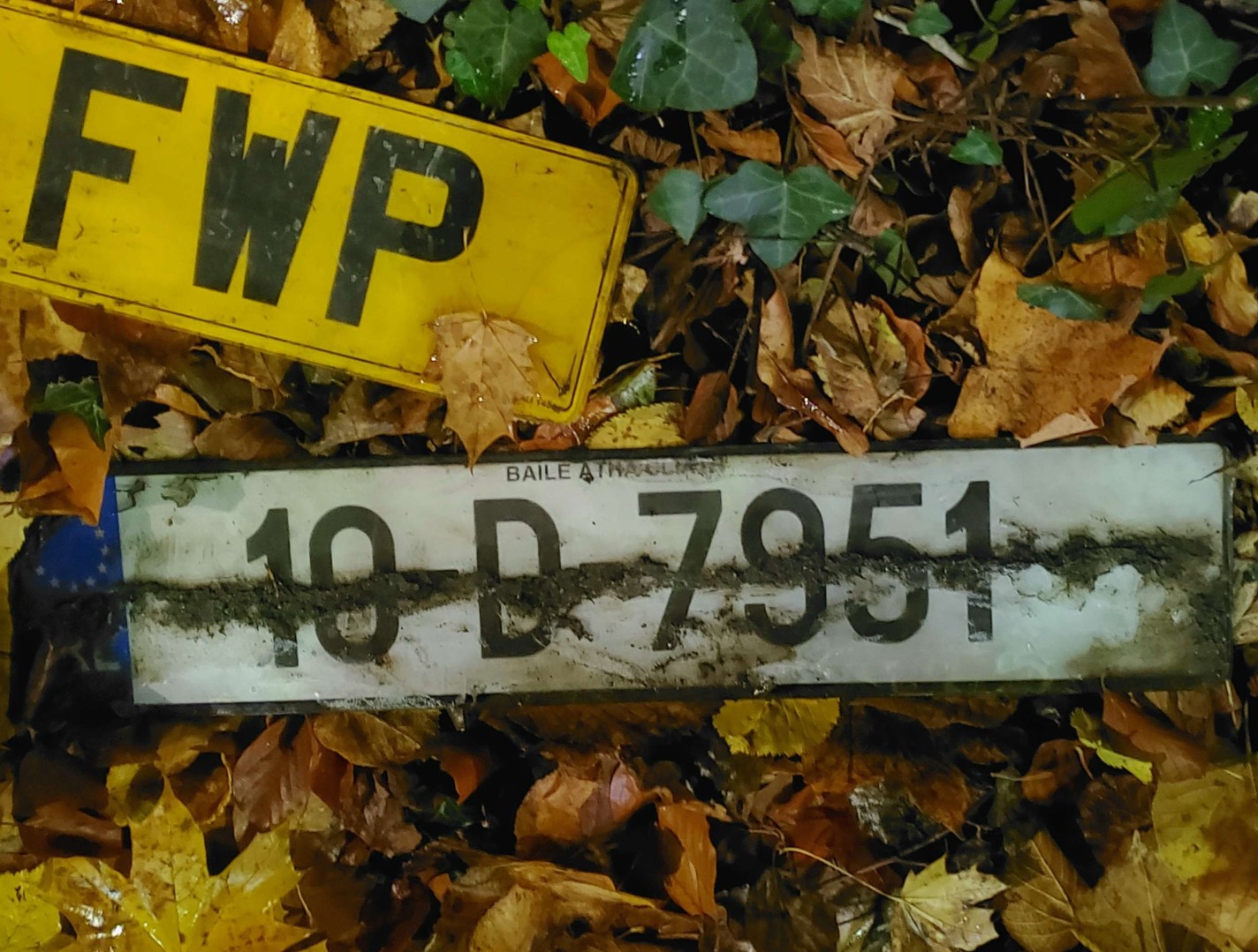 10-D-7951, License plate without vehicle 