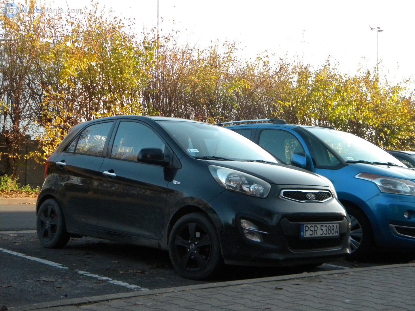 PSR 5388A, Kia Picanto 3rd gen X-Line (JA), 2018–2024