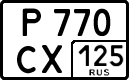 р 770 сх 125