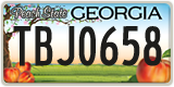 Georgia, ABC 1234