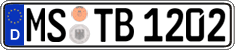 German license plate, Regular plates