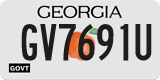 Georgia, Government (GV1234X)