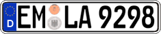 German license plate, Regular plates