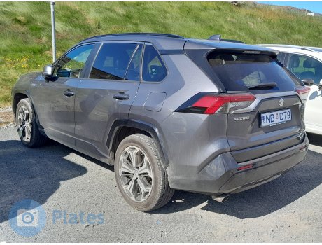 NB D79, Suzuki Across