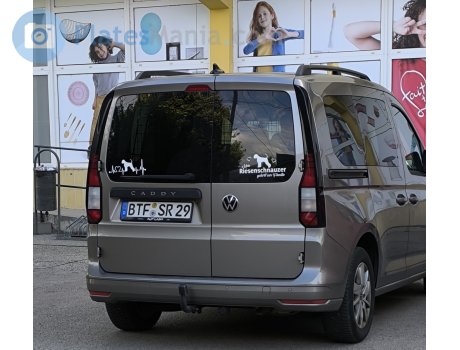 BTF SR 29, Volkswagen Caddy