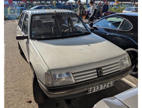 6813 TZ 63, Peugeot 205
