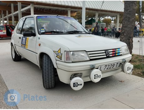 L 7229 T, Peugeot 205