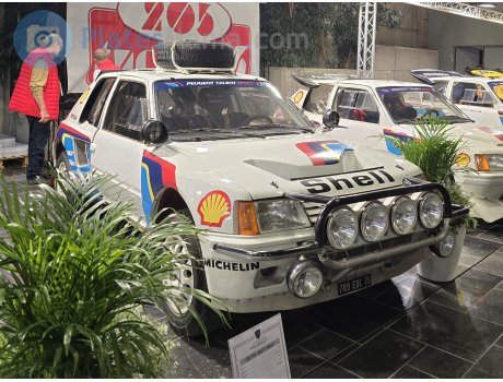 709 EXC 75, Peugeot 205