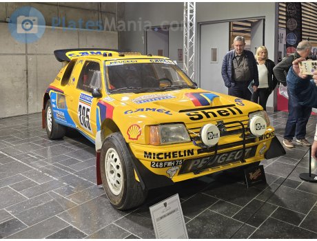 248 FWH 75, Peugeot 205